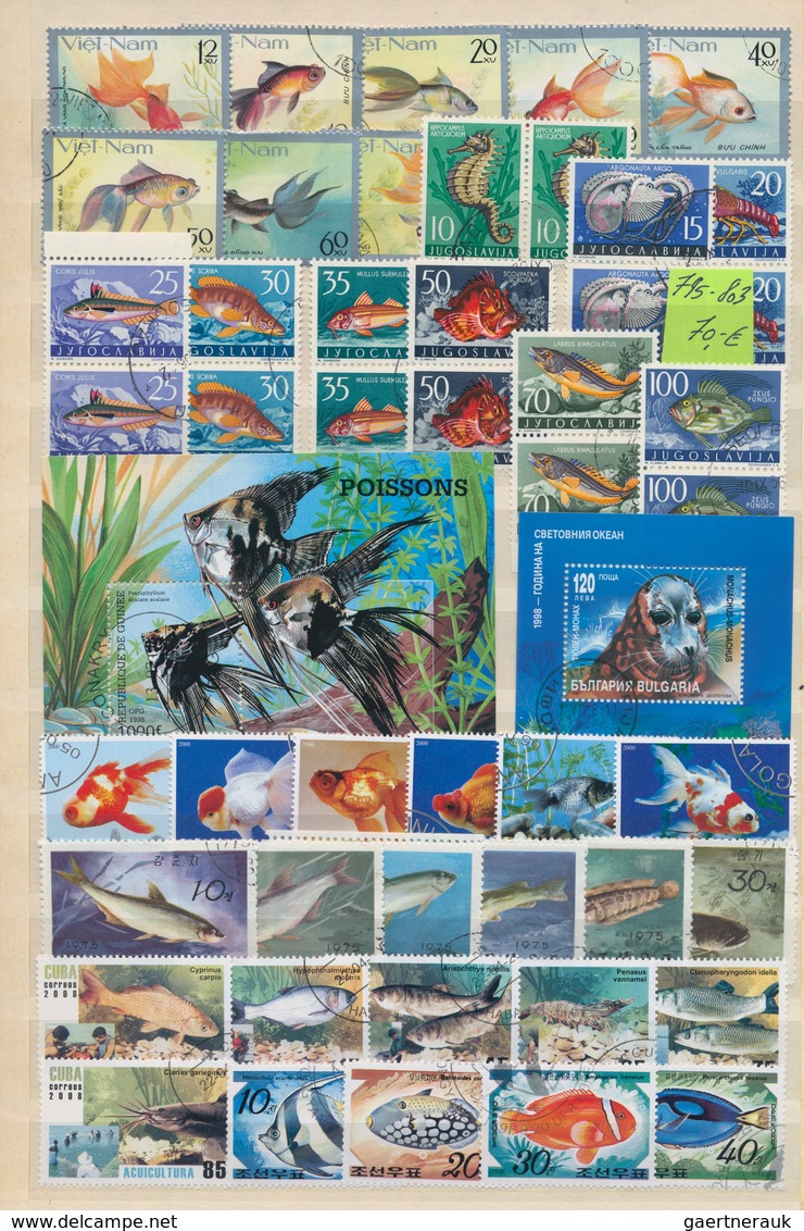 Thematik: Tiere-Fische / Animals-fishes: 1960 - 2008 (ca.), Comprehensive, Mostly Stamped Collection - Fishes