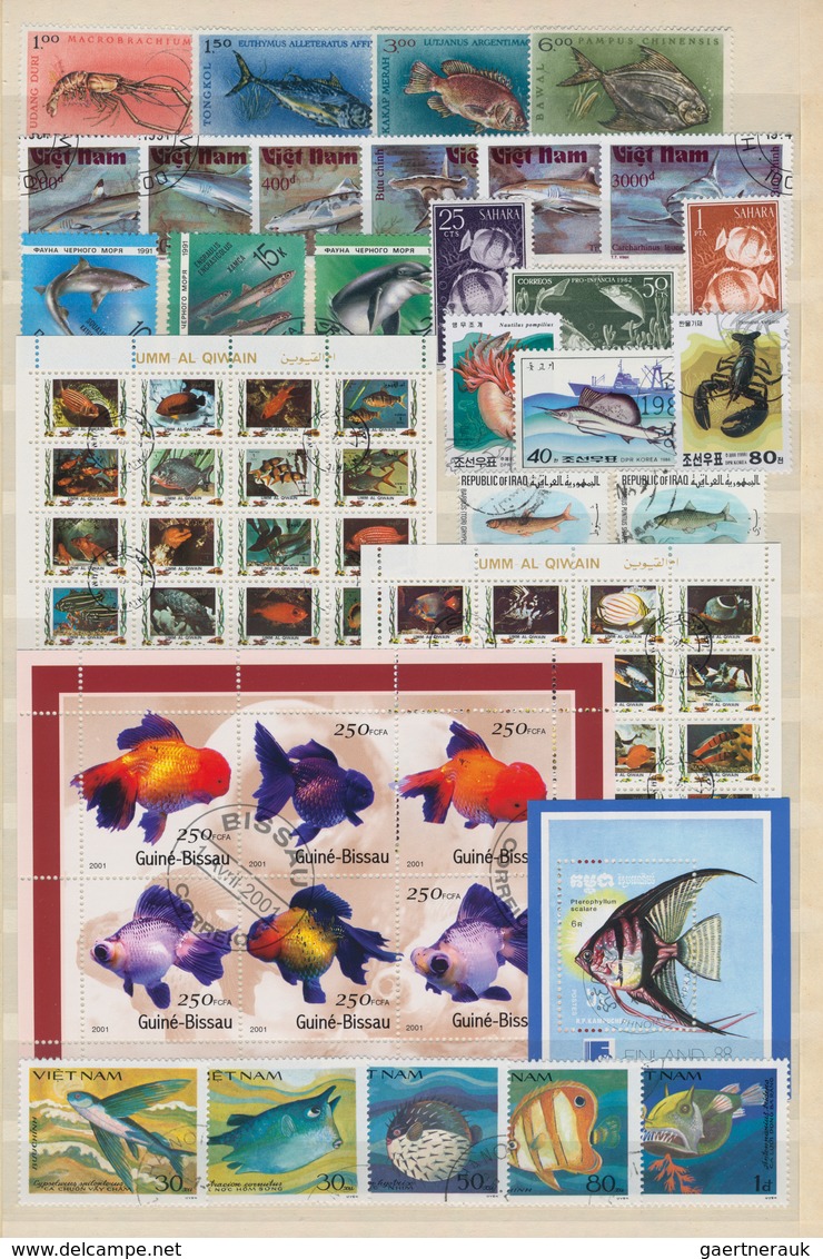 Thematik: Tiere-Fische / Animals-fishes: 1960 - 2008 (ca.), Comprehensive, Mostly Stamped Collection - Poissons