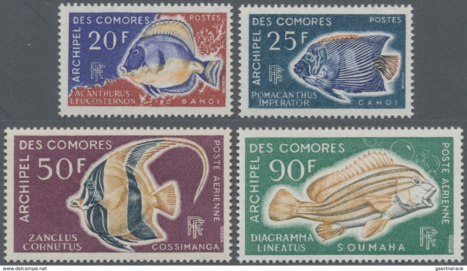 Thematik: Tiere-Fische / Animals-fishes: 1968, COMORES: Fishes Complete Set Of Four With 20fr. ‚Acan - Peces