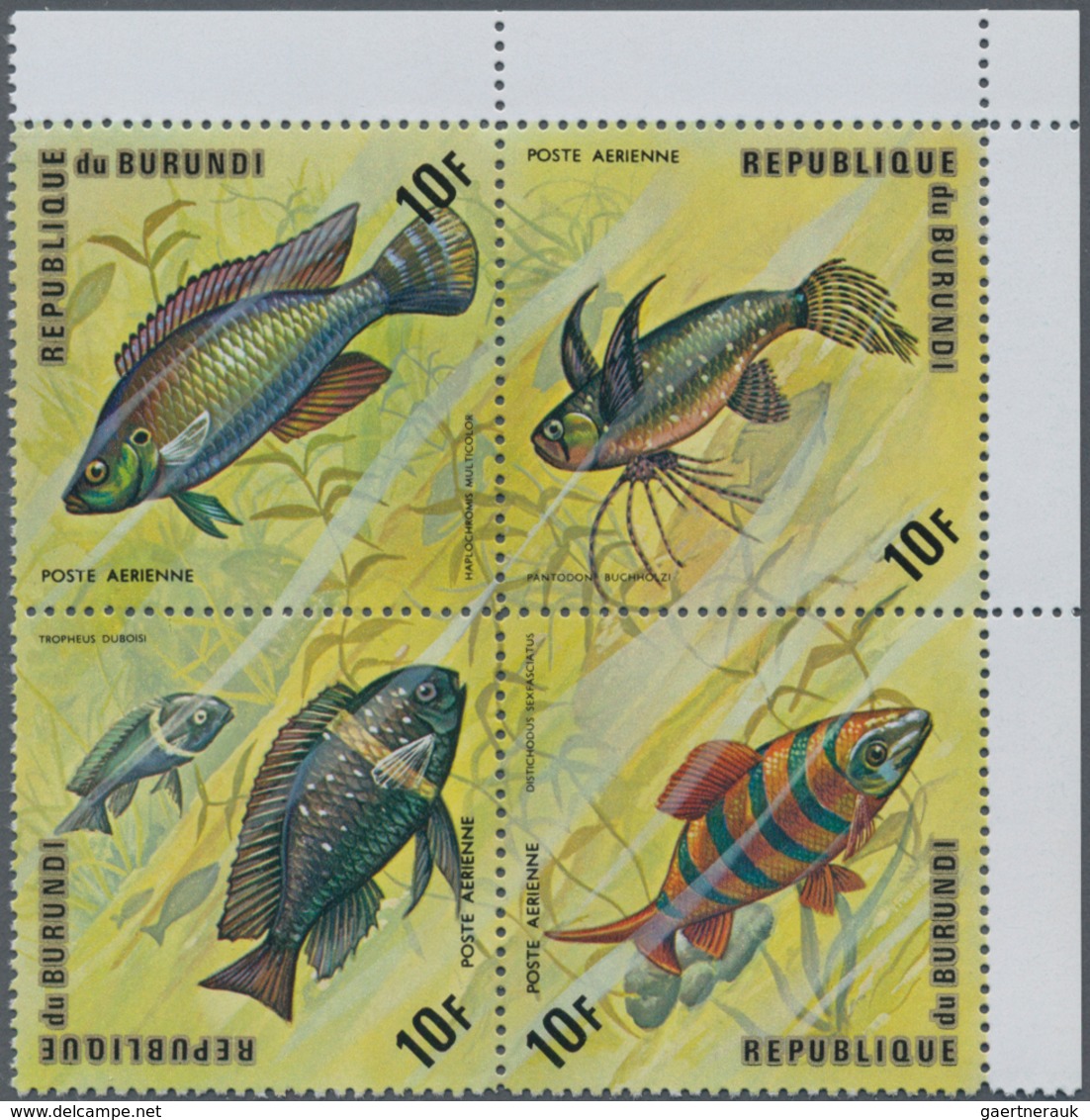Thematik: Tiere-Fische / Animals-fishes: 1974, BURUNDI: Fishes Complete Set Of 24 Airmail Stamps (si - Peces