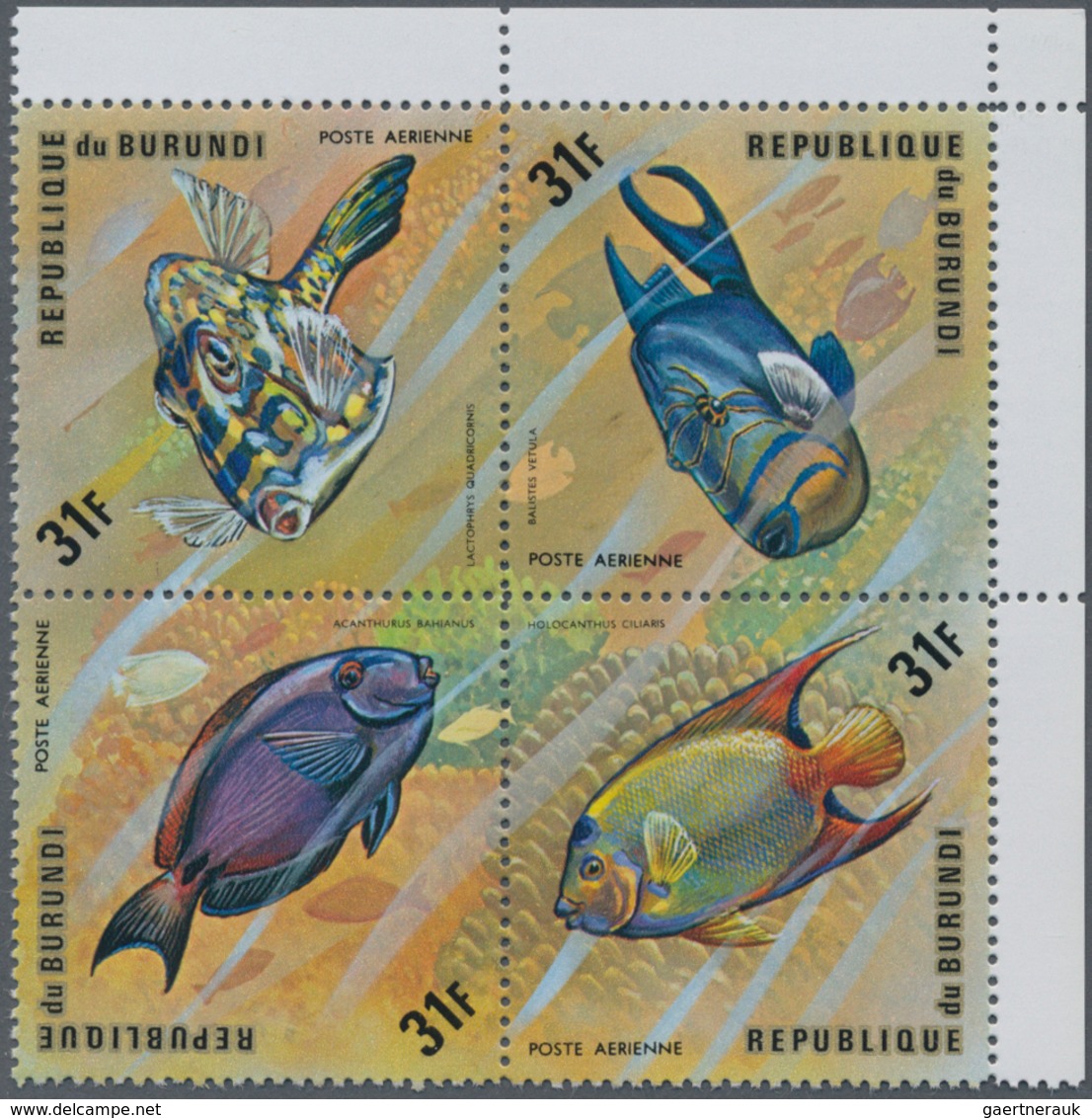 Thematik: Tiere-Fische / Animals-fishes: 1974, BURUNDI: Fishes Complete Set Of 24 Airmail Stamps (si - Peces