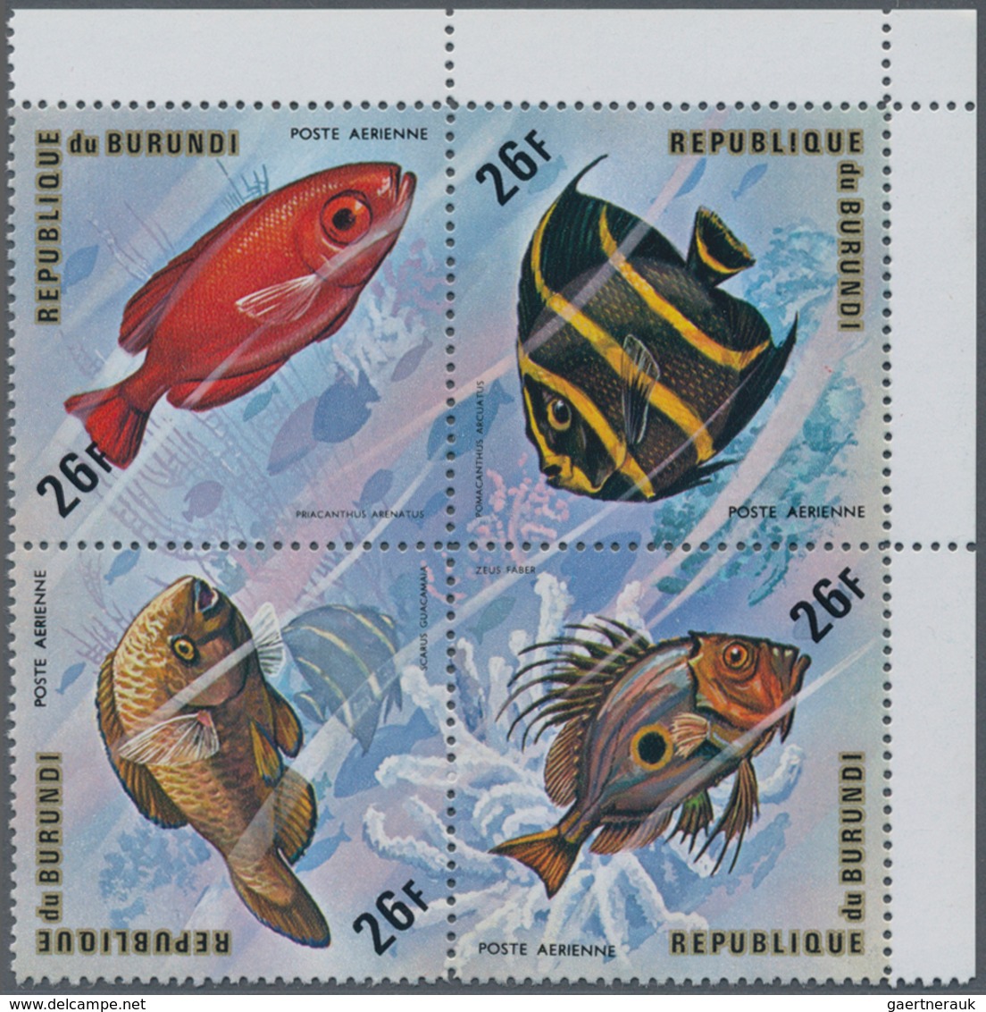 Thematik: Tiere-Fische / Animals-fishes: 1974, BURUNDI: Fishes Complete Set Of 24 Airmail Stamps (si - Peces