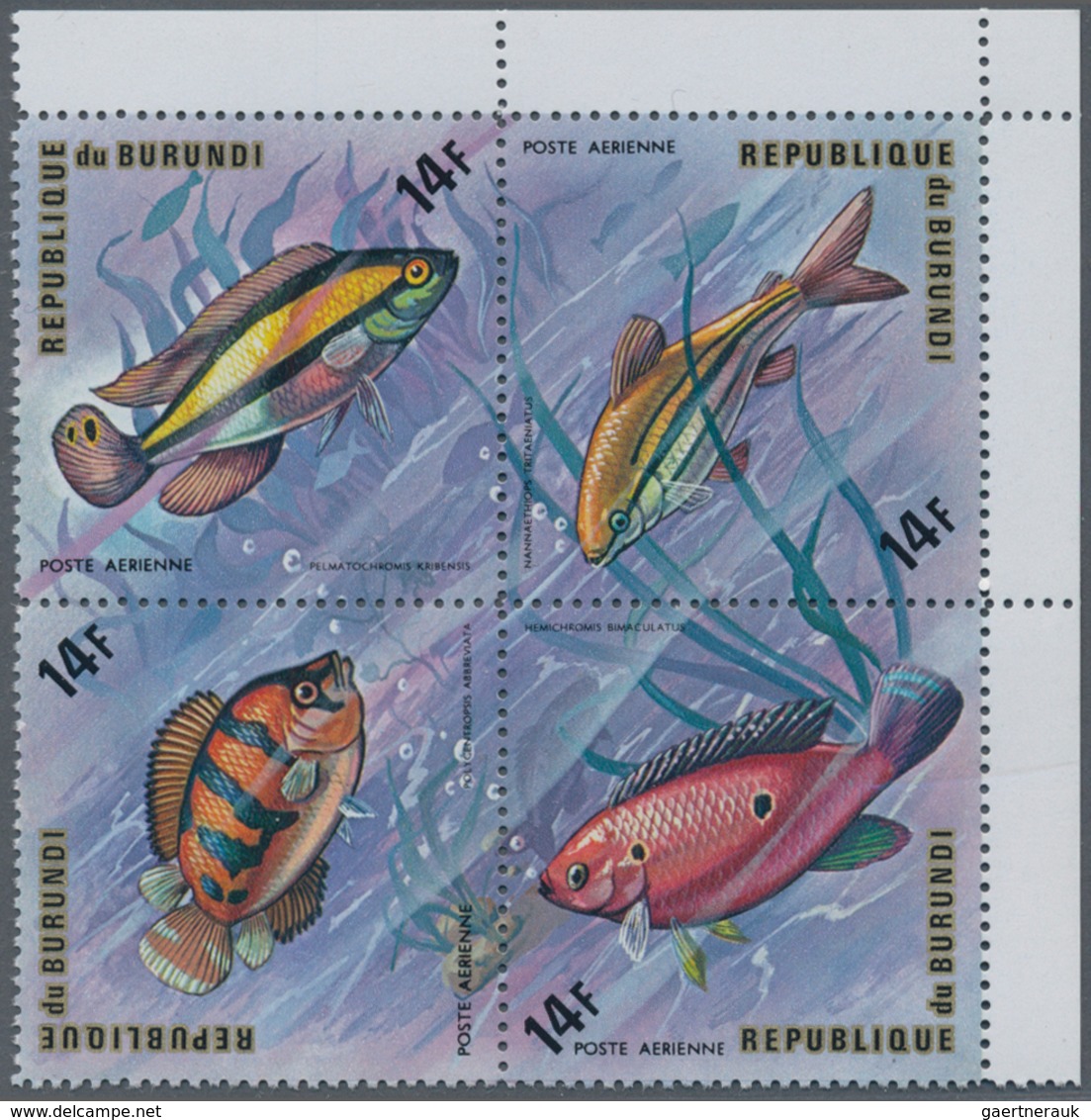 Thematik: Tiere-Fische / Animals-fishes: 1974, BURUNDI: Fishes Complete Set Of 24 Airmail Stamps (si - Peces