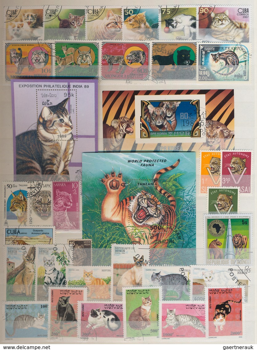 Thematik: Tiere-Katzen / Animals-cats: 1960 - 2009 (ca.), Comprehensive, Mostly Stamped Collection O - Hauskatzen