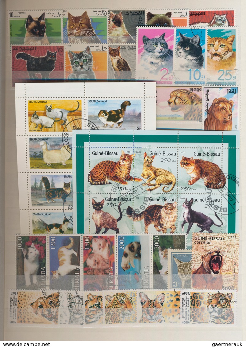 Thematik: Tiere-Katzen / Animals-cats: 1960 - 2009 (ca.), Comprehensive, Mostly Stamped Collection O - Gatos Domésticos