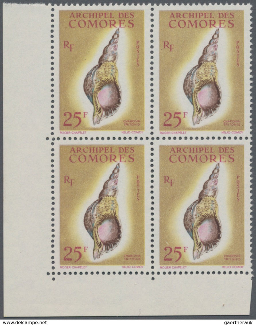 Thematik: Tiere-Meerestiere-Muscheln / Animals-sea Animals-shells: 1962, COMORES: Conches ‚Charonia - Muscheln