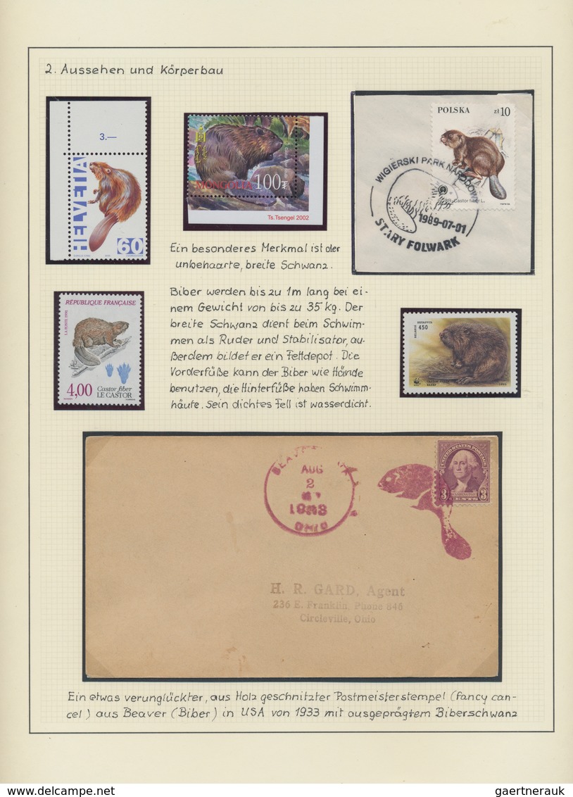 Thematik: Tiere-Nagetiere / Animals-rodents: 1815/2000 (ca.), BEAVER And Other Rodents, Collection O - Nager