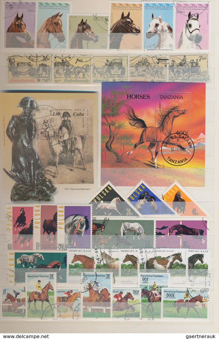 Thematik: Tiere-Pferde / Animals-horses: 1960 - 2000 (ca.), Comprehensive, Mostly Stamped Collection - Paarden