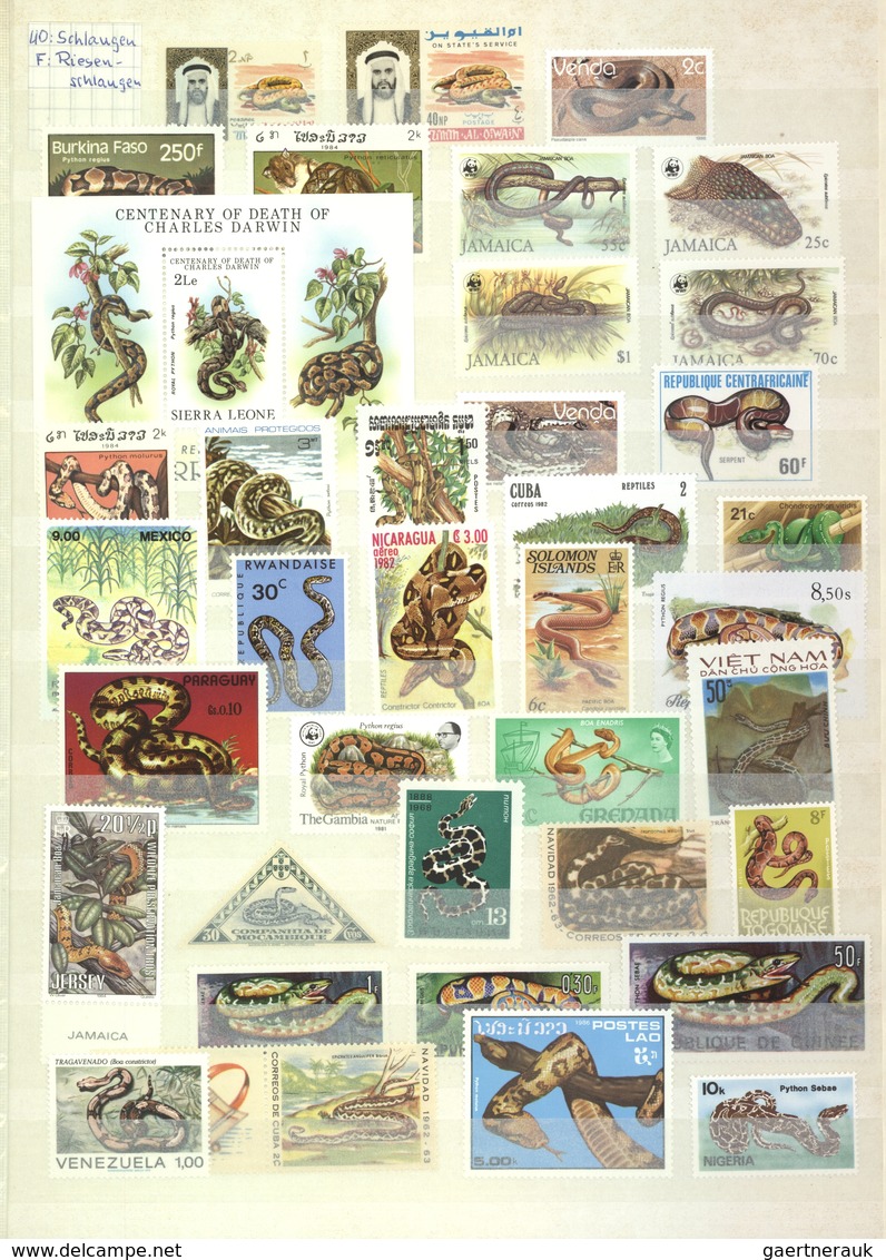 Thematik: Tiere-Reptilien / Animals-reptiles: 1960/2000 (ca.), REPTILES/AMPHIBIAN, Comprehensive MNH - Otros & Sin Clasificación