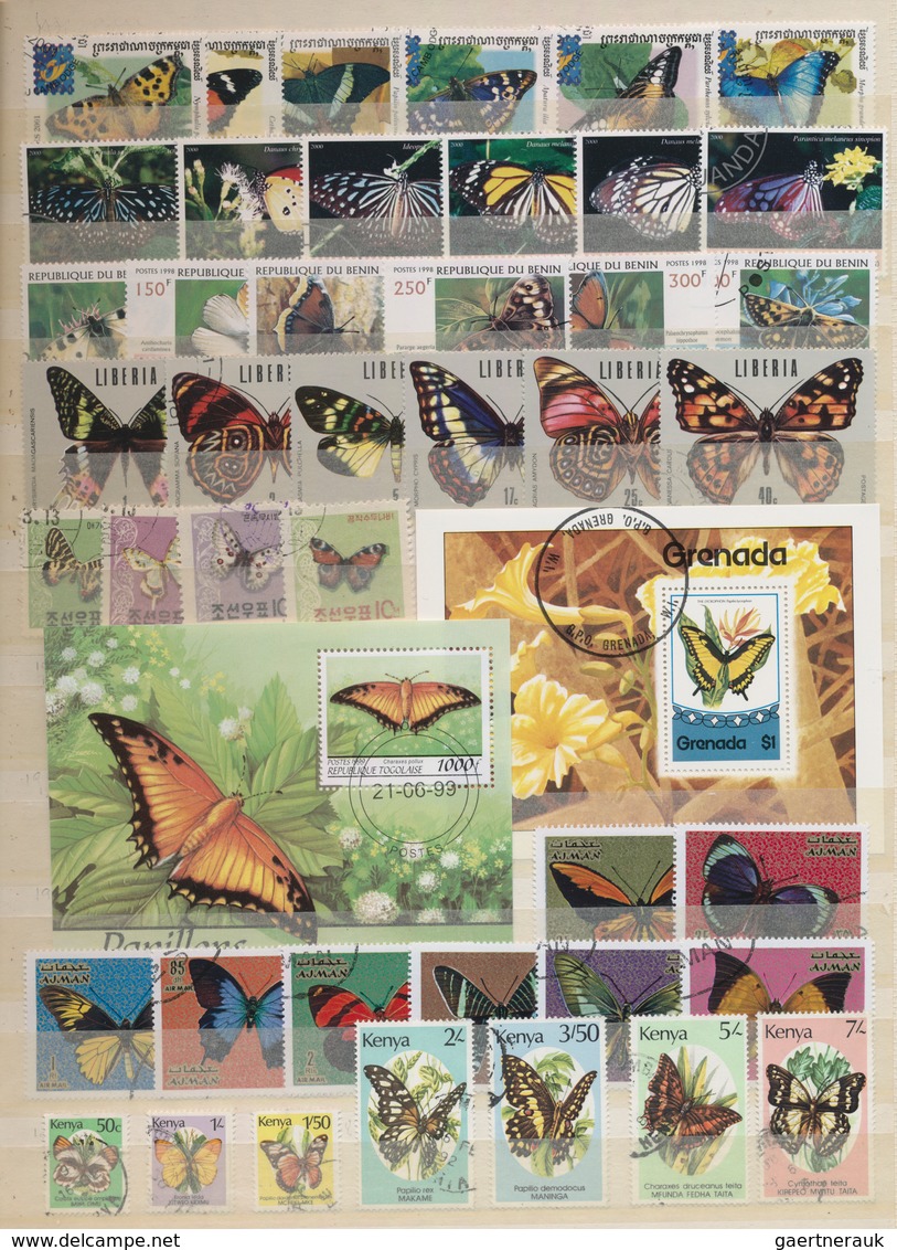 Thematik: Tiere-Schmetterlinge / Animals-butterflies: 1960 - 2000 (ca.), Comprehensive, Mostly Stamp - Schmetterlinge