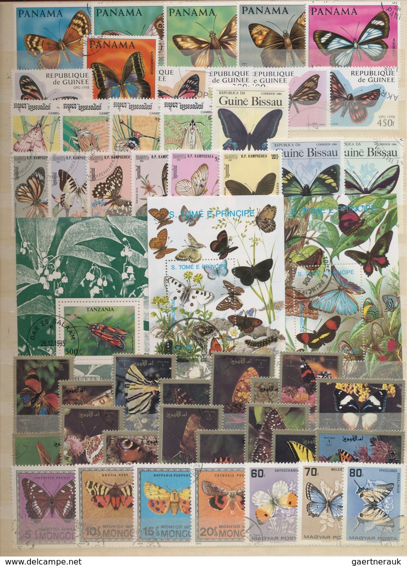 Thematik: Tiere-Schmetterlinge / Animals-butterflies: 1960 - 2000 (ca.), Comprehensive, Mostly Stamp - Mariposas