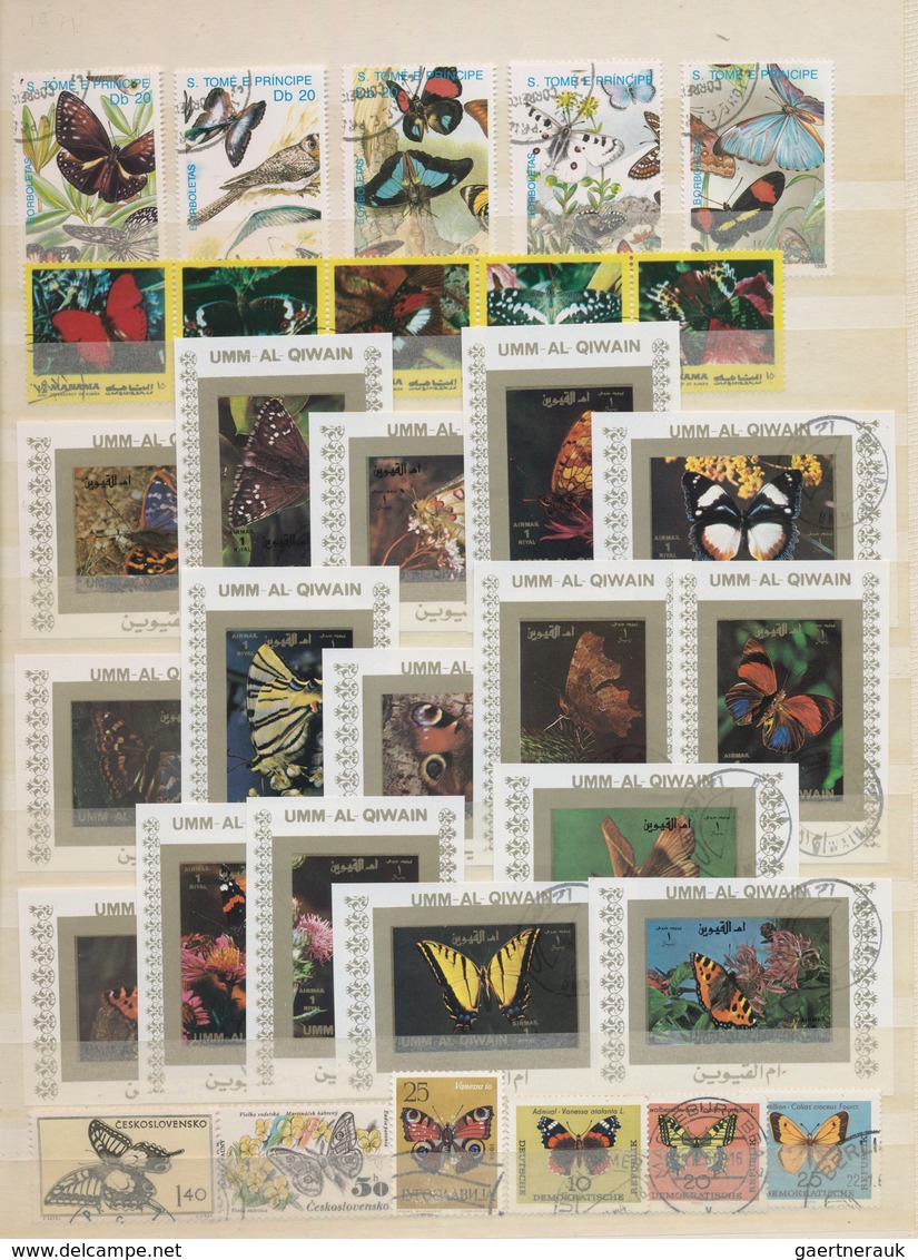 Thematik: Tiere-Schmetterlinge / Animals-butterflies: 1960 - 2000 (ca.), Comprehensive, Mostly Stamp - Schmetterlinge