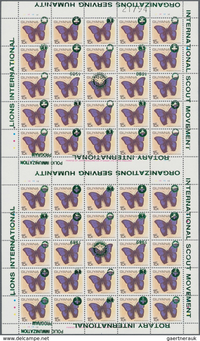 Thematik: Tiere-Schmetterlinge / Animals-butterflies: 1980/1990 (ca.), GUYANA: Duplicated Accumulati - Mariposas