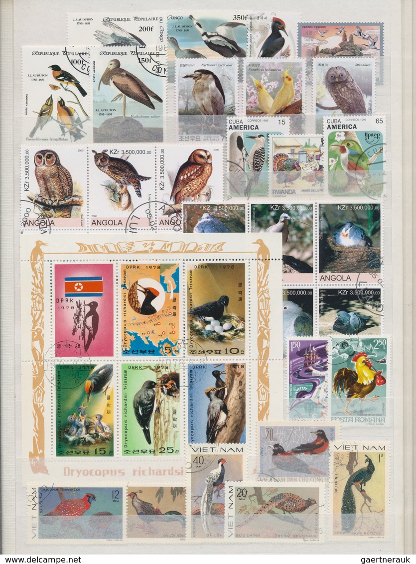 Thematik: Tiere-Vögel / Animals-birds: 1970 - 2008 (ca.), Comprehensive, Mostly Stamped Collection O - Otros & Sin Clasificación