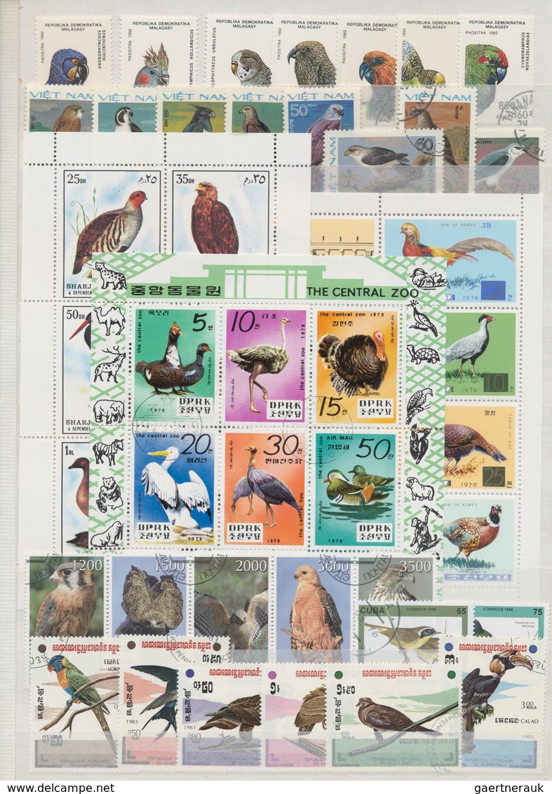 Thematik: Tiere-Vögel / Animals-birds: 1970 - 2008 (ca.), Comprehensive, Mostly Stamped Collection O - Otros & Sin Clasificación