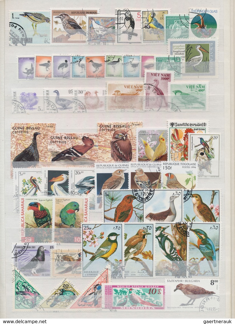 Thematik: Tiere-Vögel / Animals-birds: 1970 - 2008 (ca.), Comprehensive, Mostly Stamped Collection O - Sonstige & Ohne Zuordnung