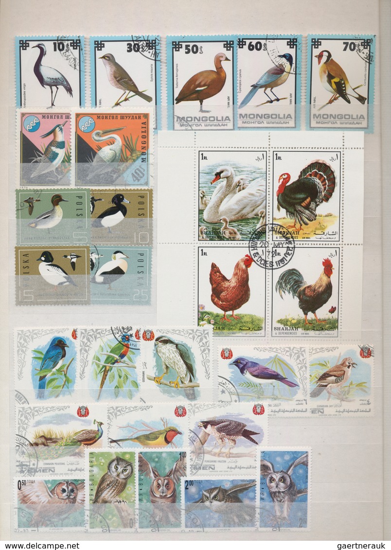 Thematik: Tiere-Vögel / Animals-birds: 1970 - 2008 (ca.), Comprehensive, Mostly Stamped Collection O - Sonstige & Ohne Zuordnung