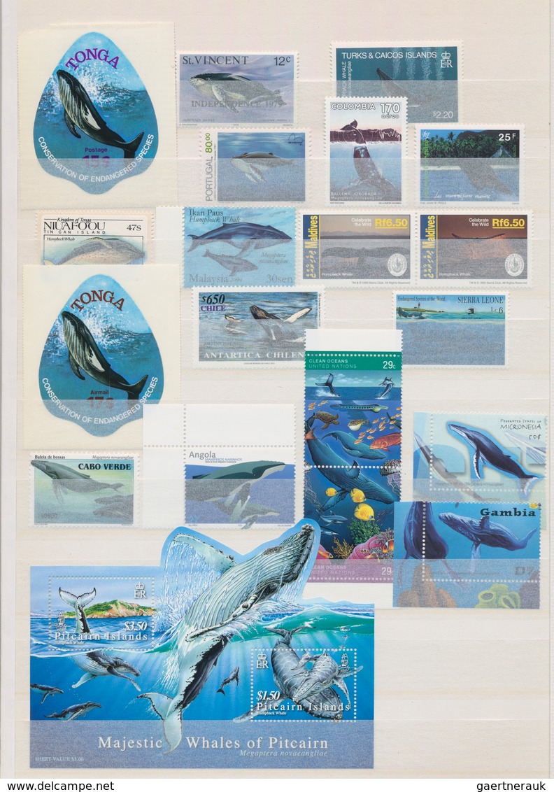 Thematik: Tiere-Meeressäuger (u.a. Wale) / Animals-aquatic Mammals: 1980/2012 (ca.), WHALES AND DOLP - Autres & Non Classés