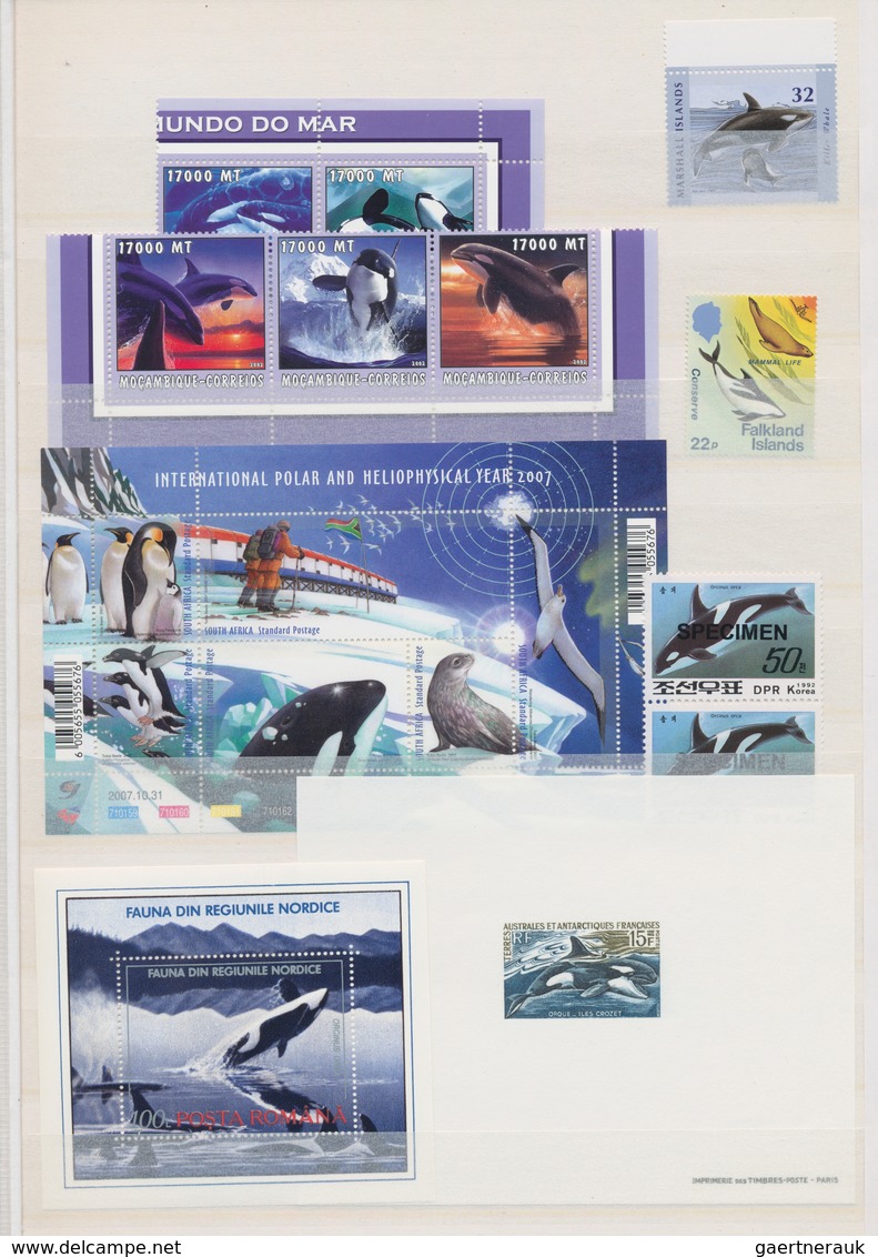 Thematik: Tiere-Meeressäuger (u.a. Wale) / Animals-aquatic Mammals: 1980/2012 (ca.), WHALES AND DOLP - Autres & Non Classés