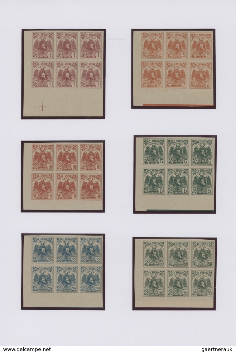 Albanien: 1919/1922, Specialised Collecion Of Overprint Issues On Written Up Album Pages, Comprising - Albanien