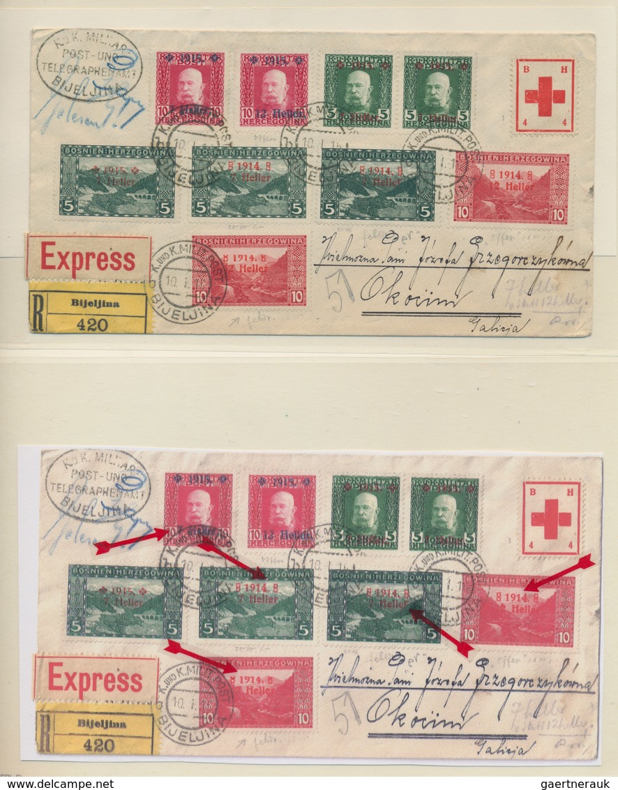 Bosnien und Herzegowina (Österreich 1879/1918): 1879/1918, deeply specialised collection of apprx. 1