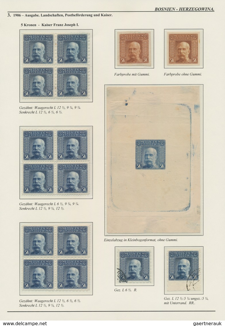 Bosnien Und Herzegowina (Österreich 1879/1918): 1879/1918, Extraordinary Specialised Collection On 1 - Bosnien-Herzegowina