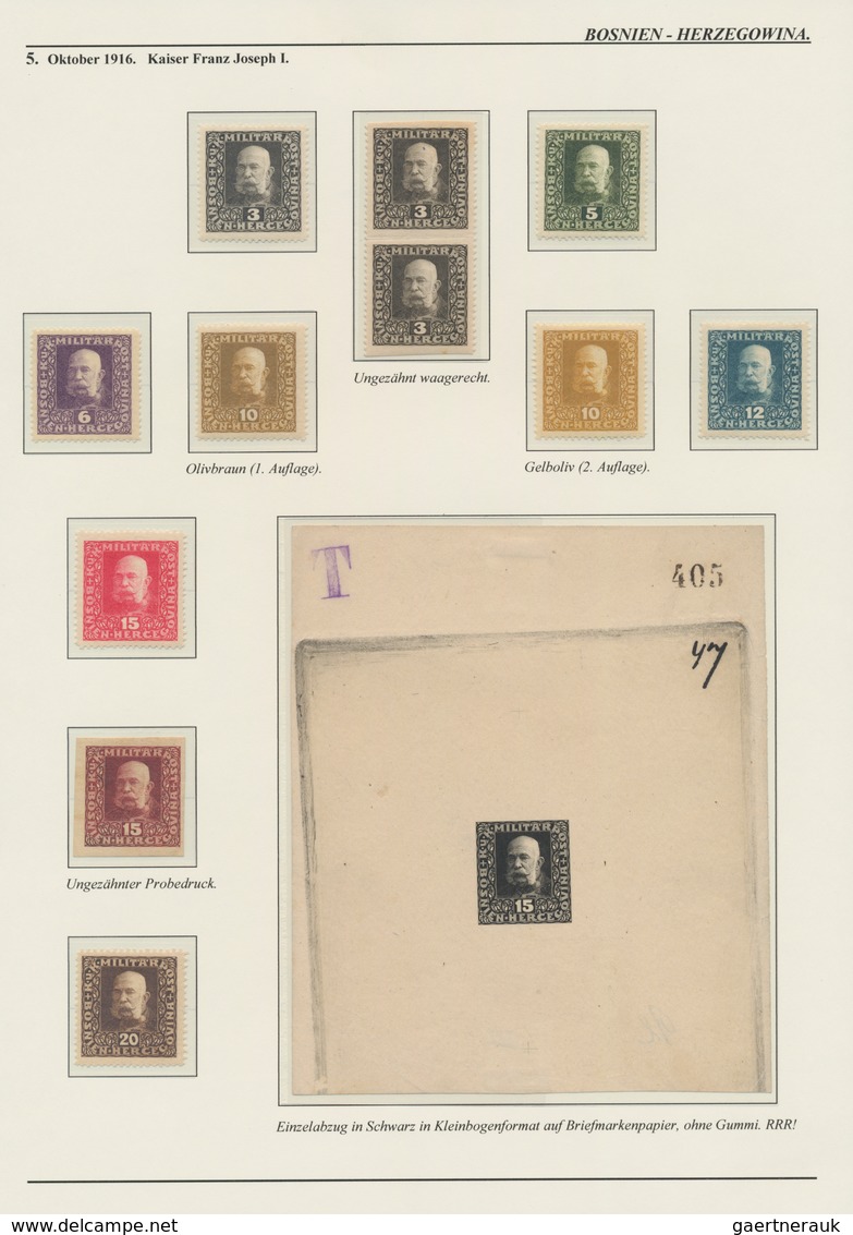 Bosnien Und Herzegowina (Österreich 1879/1918): 1879/1918, Extraordinary Specialised Collection On 1 - Bosnien-Herzegowina