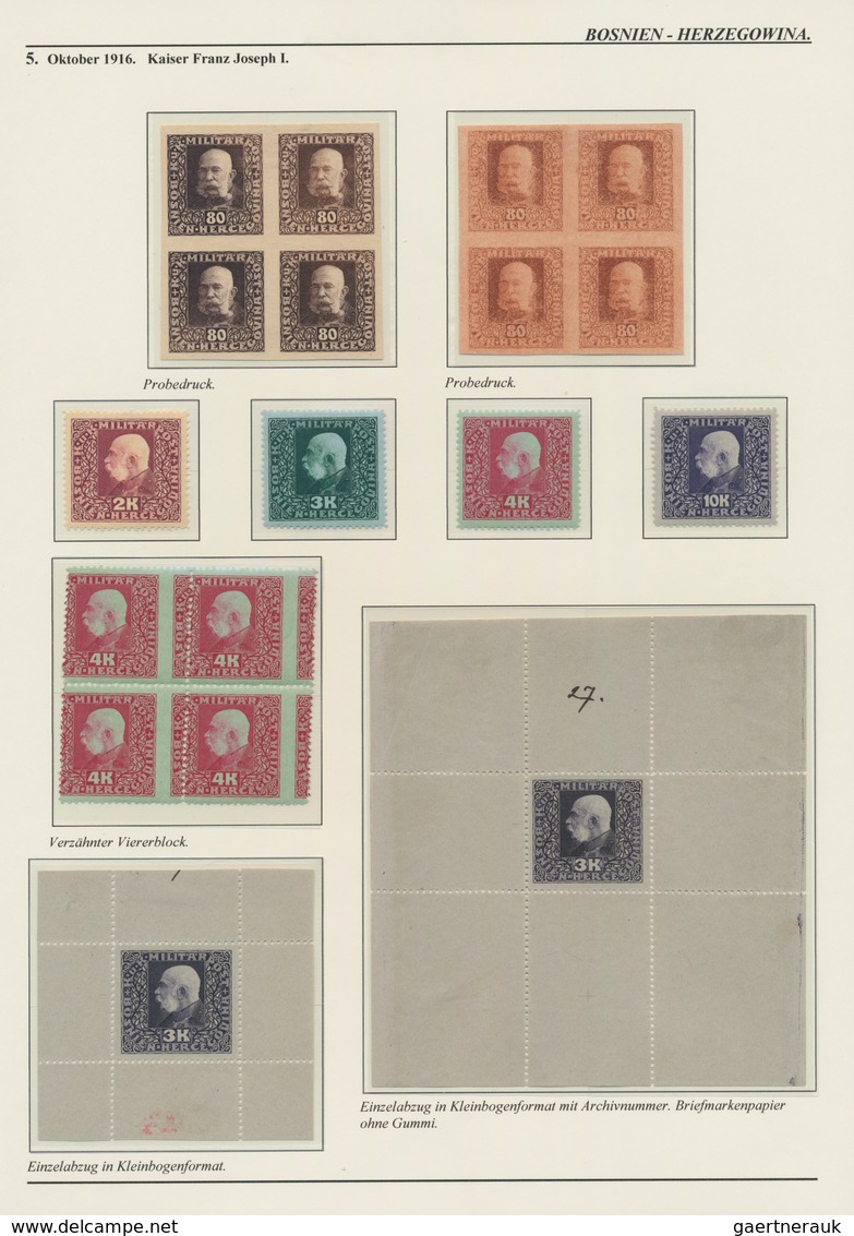 Bosnien Und Herzegowina (Österreich 1879/1918): 1879/1918, Extraordinary Specialised Collection On 1 - Bosnien-Herzegowina