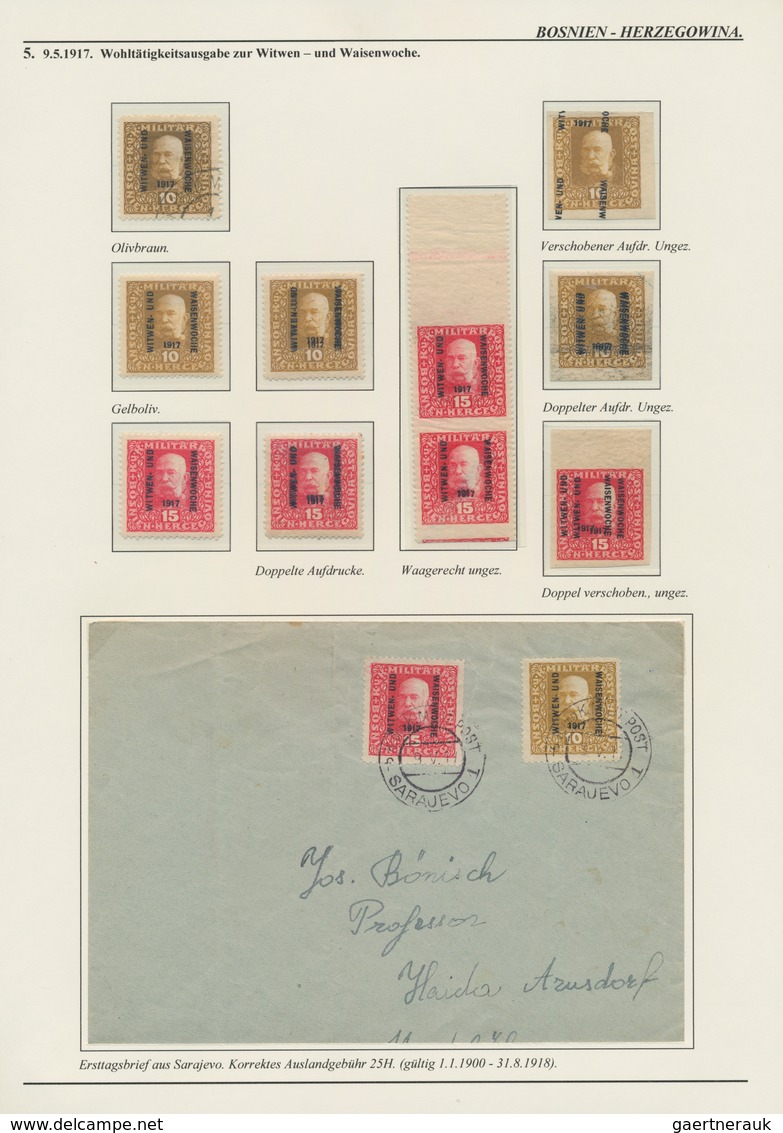 Bosnien Und Herzegowina (Österreich 1879/1918): 1879/1918, Extraordinary Specialised Collection On 1 - Bosnia Herzegovina