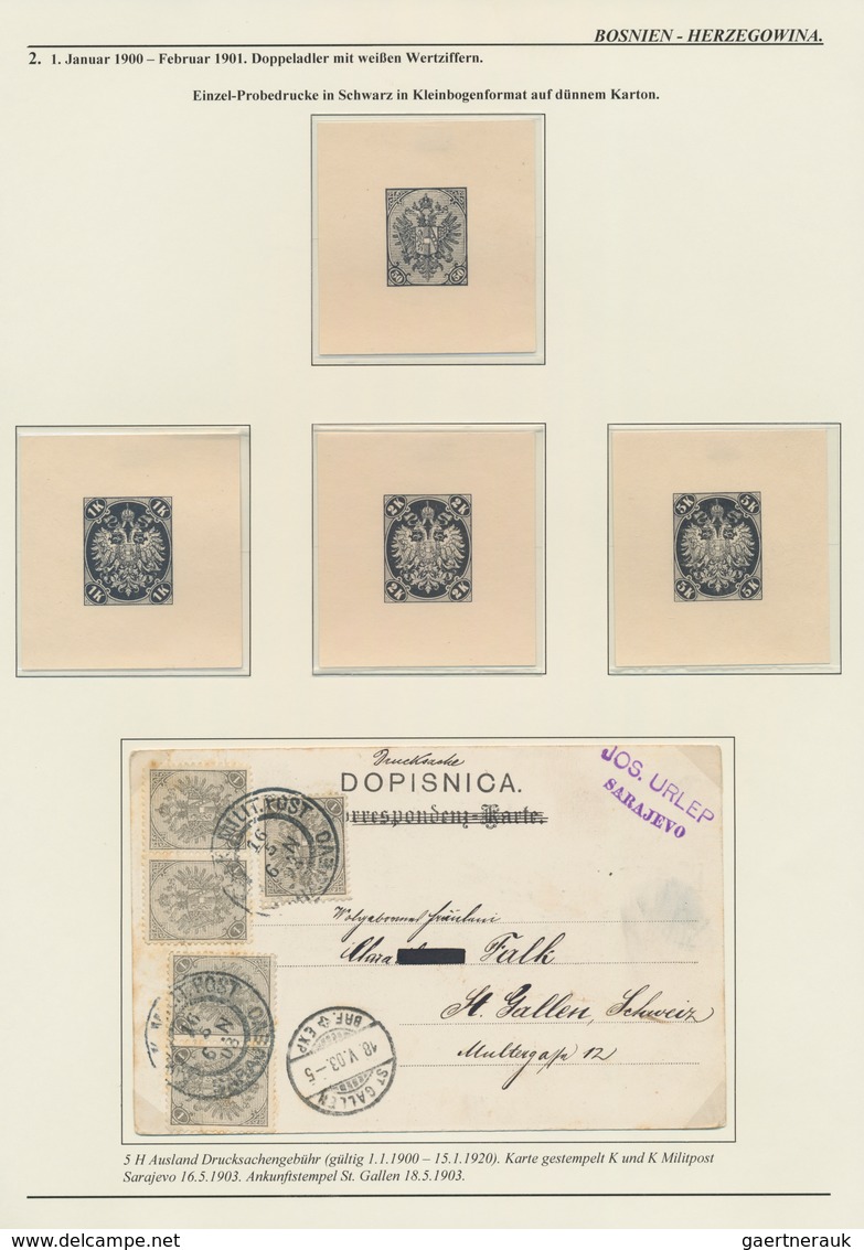 Bosnien und Herzegowina (Österreich 1879/1918): 1879/1918, extraordinary specialised collection on 1