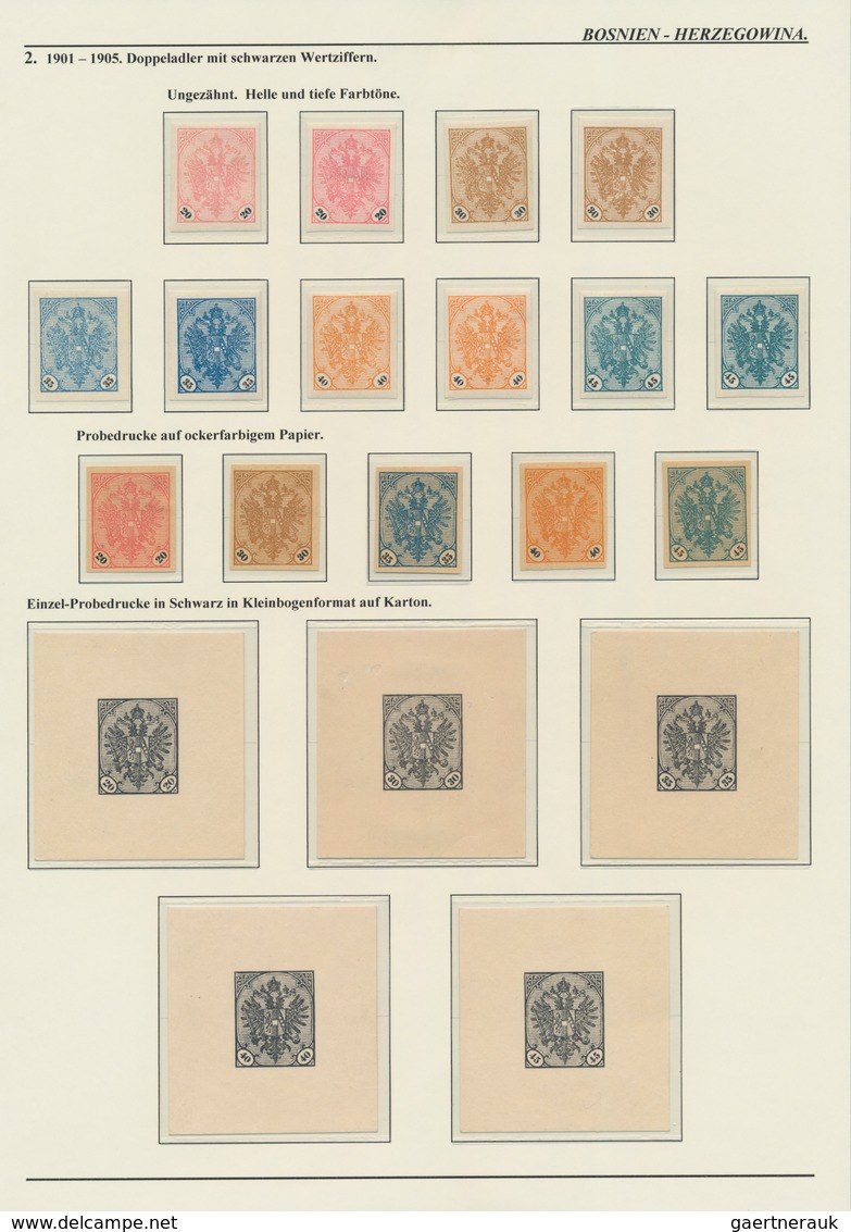 Bosnien und Herzegowina (Österreich 1879/1918): 1879/1918, extraordinary specialised collection on 1