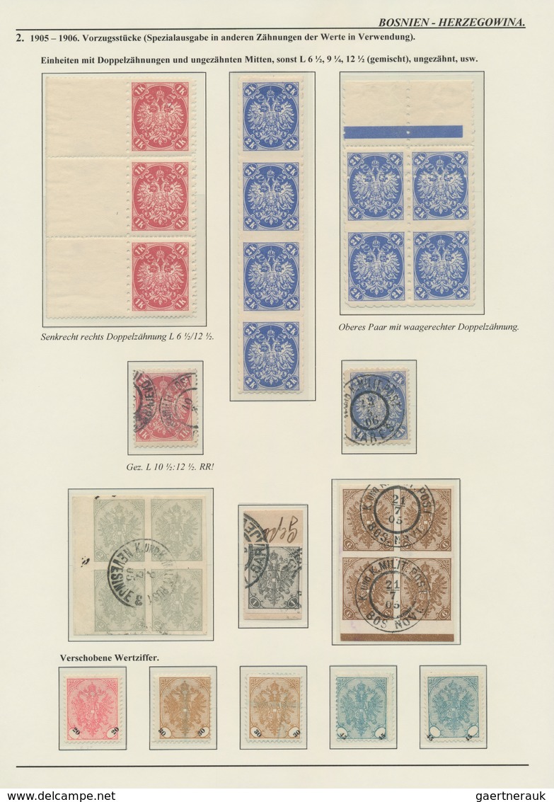 Bosnien und Herzegowina (Österreich 1879/1918): 1879/1918, extraordinary specialised collection on 1