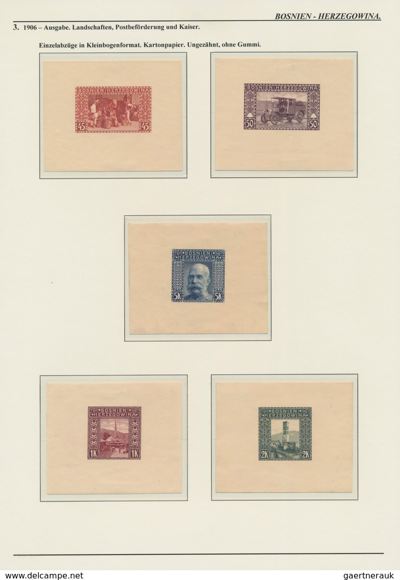 Bosnien und Herzegowina (Österreich 1879/1918): 1879/1918, extraordinary specialised collection on 1