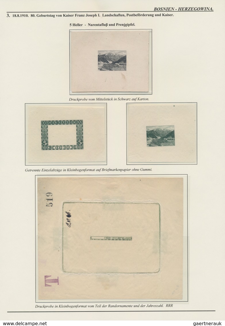 Bosnien und Herzegowina (Österreich 1879/1918): 1879/1918, extraordinary specialised collection on 1