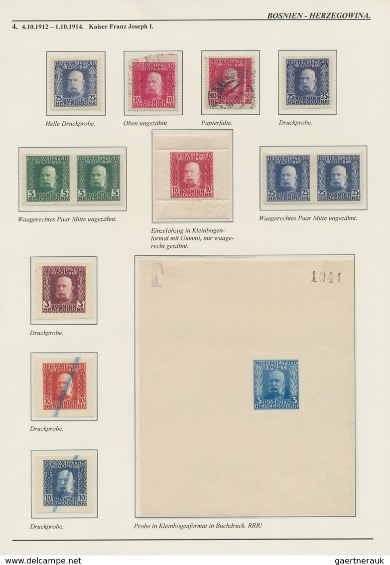 Bosnien und Herzegowina (Österreich 1879/1918): 1879/1918, extraordinary specialised collection on 1