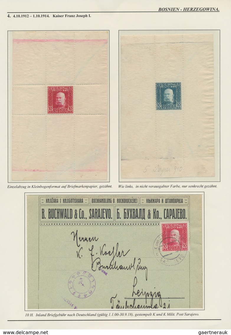 Bosnien und Herzegowina (Österreich 1879/1918): 1879/1918, extraordinary specialised collection on 1