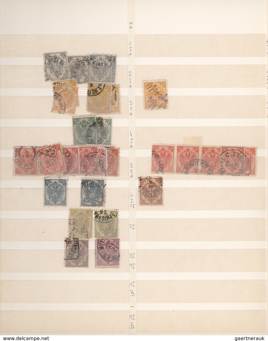Bosnien Und Herzegowina (Österreich 1879/1918): 1879/1918, Mint And Used Accumulation In Stockbook, - Bosnië En Herzegovina