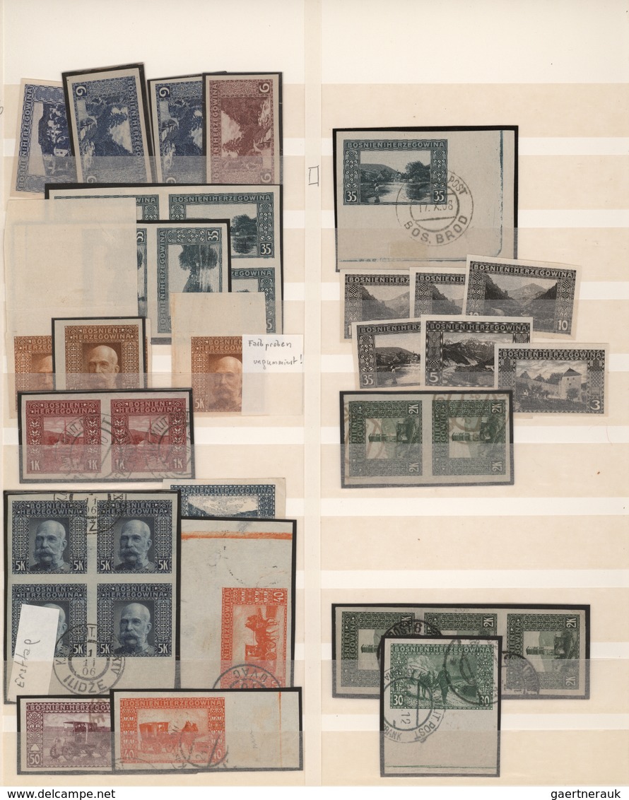 Bosnien Und Herzegowina (Österreich 1879/1918): 1879/1918, Mint And Used Accumulation In Stockbook, - Bosnia Herzegovina