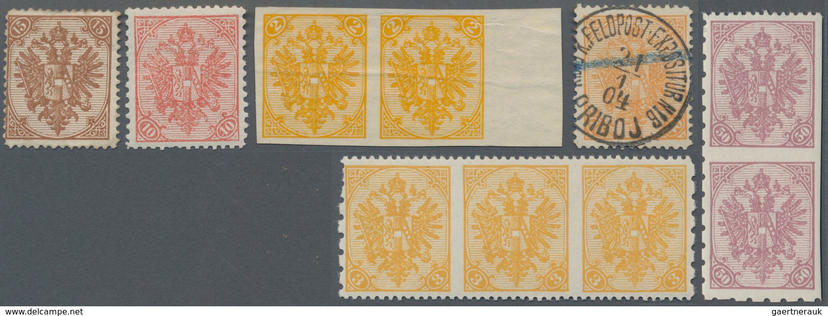 Bosnien Und Herzegowina (Österreich 1879/1918): 1879/1918, Mint And Used Assortment On Stockcards In - Bosnien-Herzegowina