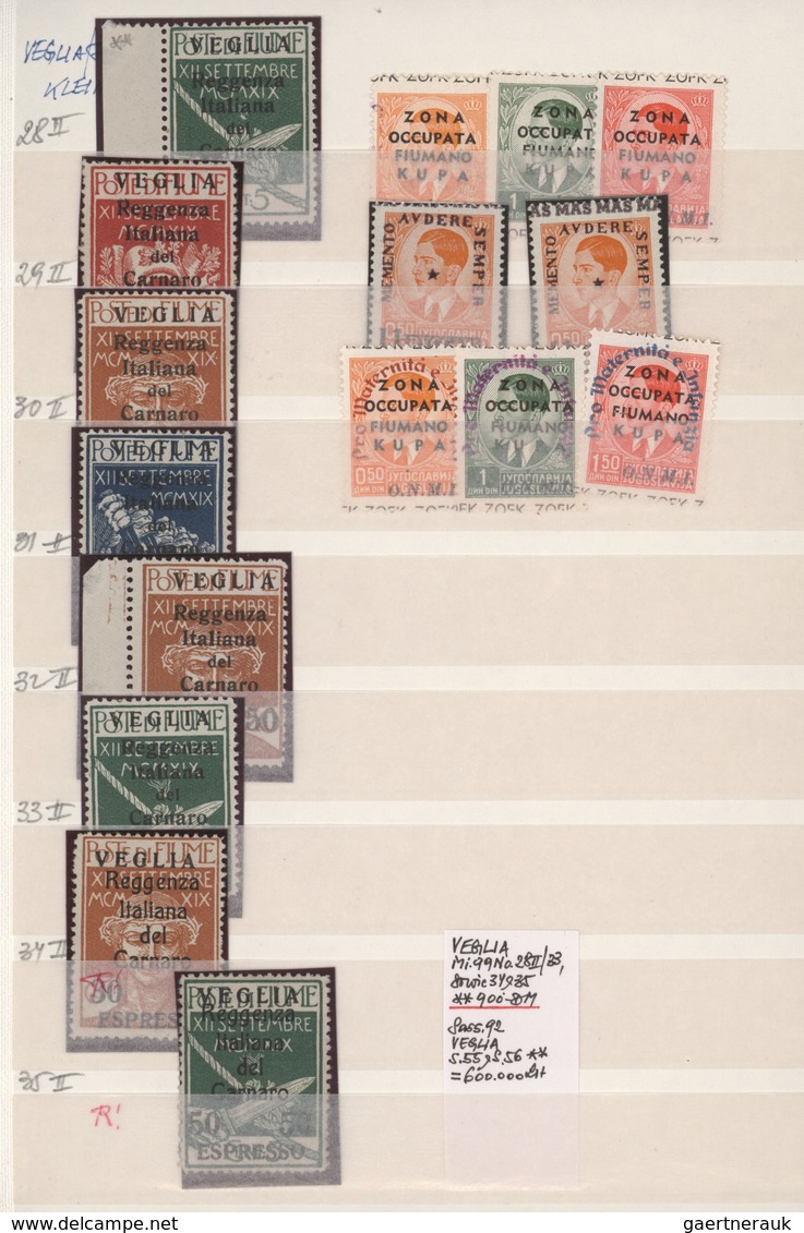 Fiume: 1918/1924, A Splendid Mainly Mint Collection/accumulation Of Apprx. 370 Stamps In A Stockbook - Fiume