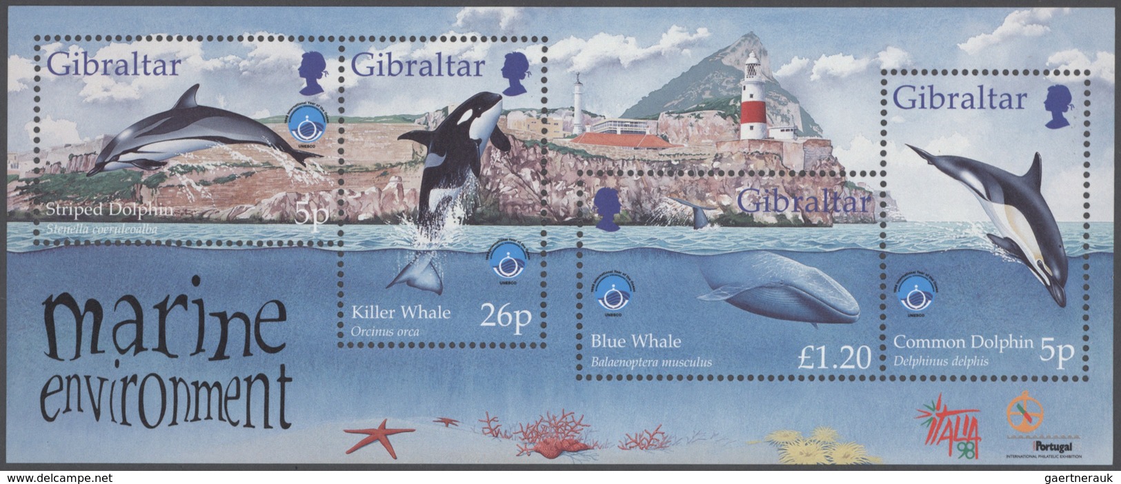 Gibraltar: 1998, Gibraltar: Whales And Dolphines, 1100 Copies Of The Souvenir Sheet Mint Never Hinge - Gibraltar