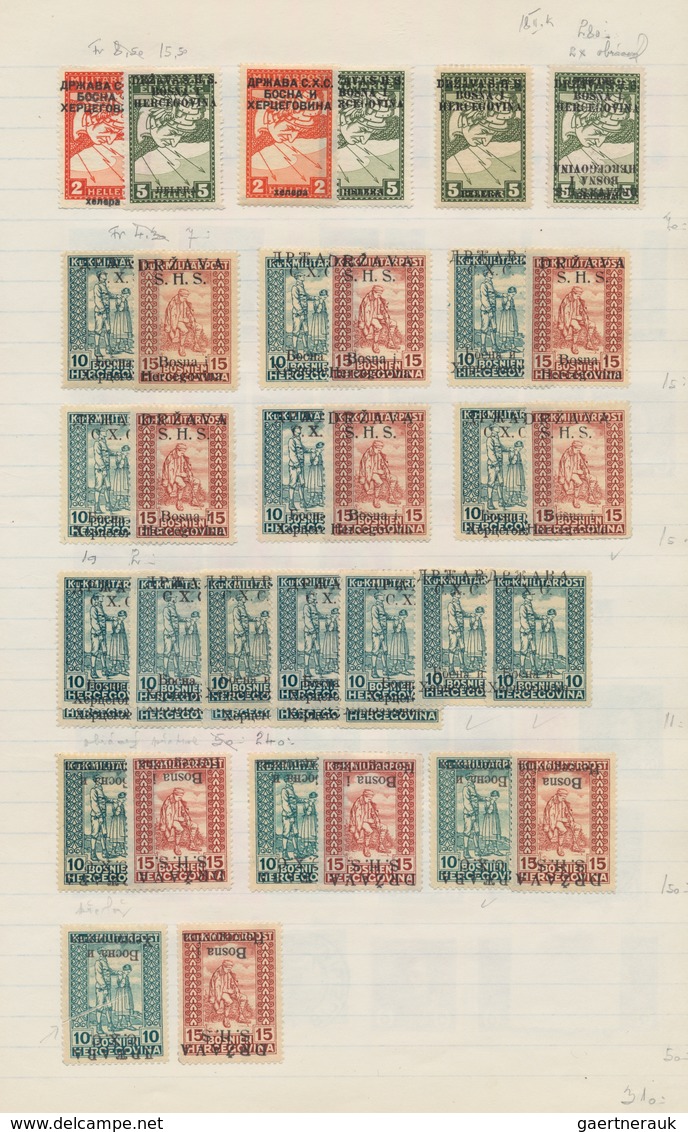 Jugoslawien: 1918/1919, Issues For Bosnia, Comprehensive Mint And Used Collection/accumulation Of Ap - Briefe U. Dokumente