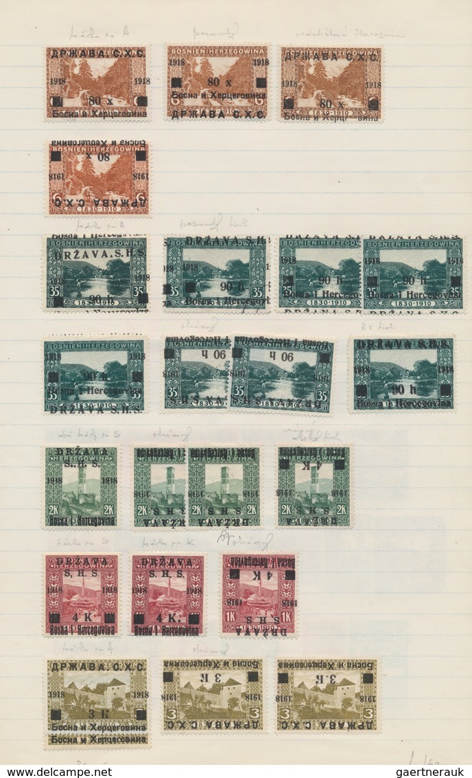 Jugoslawien: 1918/1919, Issues For Bosnia, Comprehensive Mint And Used Collection/accumulation Of Ap - Briefe U. Dokumente
