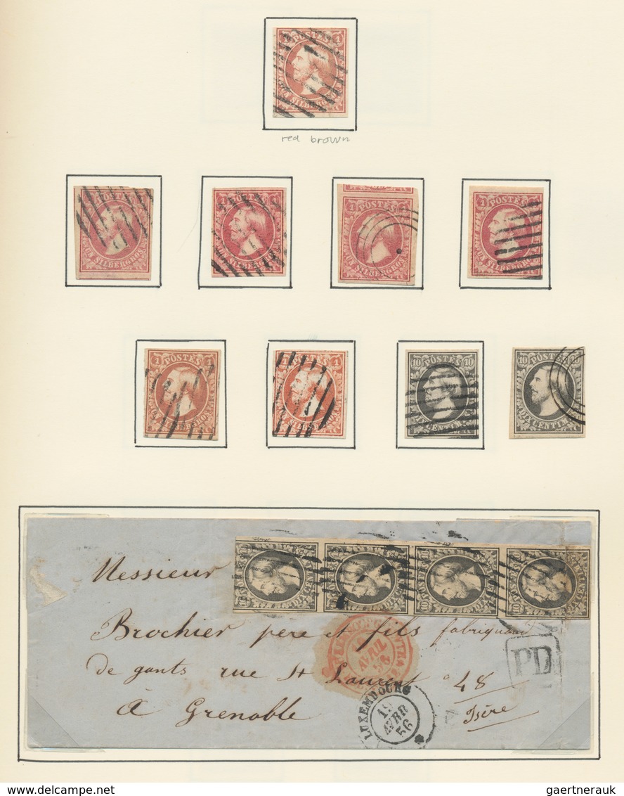 Luxemburg: 1847/1960, A Splendid Collection In Two Volumes, From Some Pre-philately, Marvellous Sect - Altri & Non Classificati