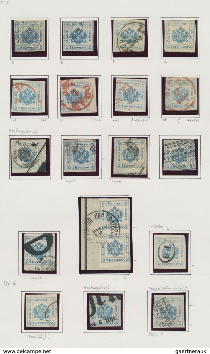 Österreich - Zeitungsstempelmarken: 1860/1890 (ca.), Meist Gestempelte Spezialisierte Sammlung Von C - Periódicos