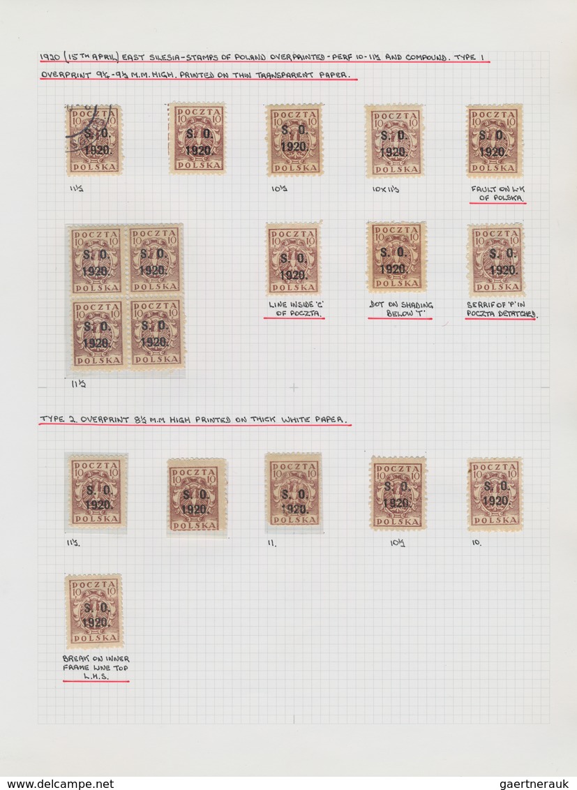 Polen: 1919/1923, Specialised Collection Of Apprx. 1.220 Stamps Neatly Arranged On Album Pages In A - Cartas & Documentos