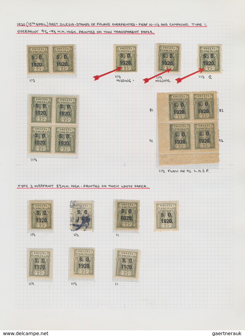 Polen: 1919/1923, Specialised Collection Of Apprx. 1.220 Stamps Neatly Arranged On Album Pages In A - Cartas & Documentos