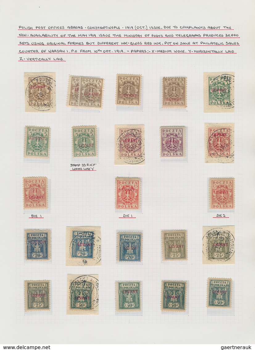 Polen: 1919/1923, Specialised Collection Of Apprx. 1.220 Stamps Neatly Arranged On Album Pages In A - Briefe U. Dokumente