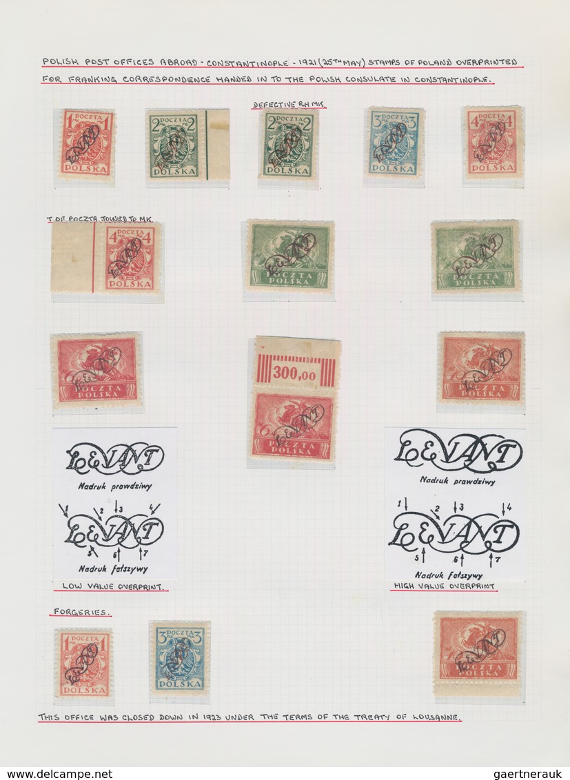 Polen: 1919/1923, specialised collection of apprx. 1.220 stamps neatly arranged on album pages in a