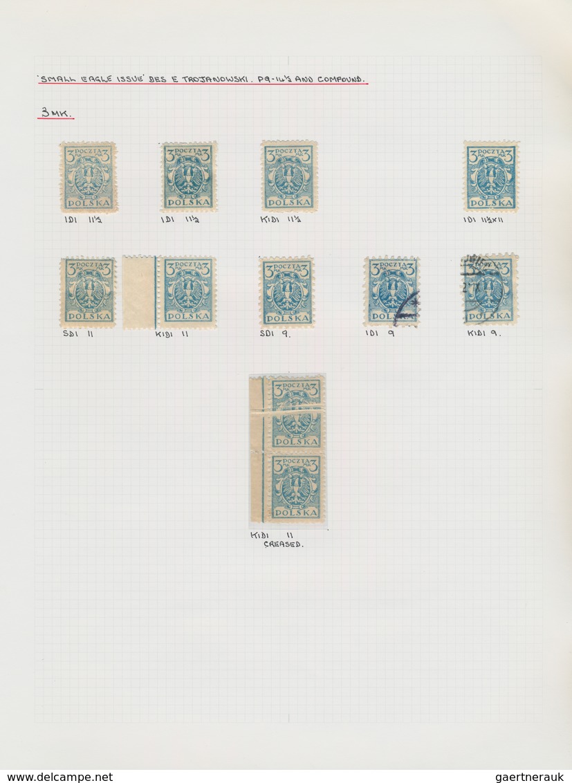 Polen: 1919/1923, specialised collection of apprx. 1.220 stamps neatly arranged on album pages in a